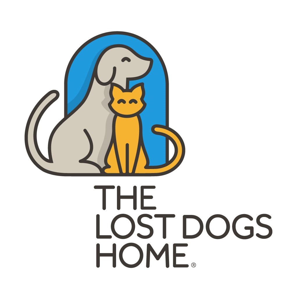 Losing dogs. The Lost Dog.